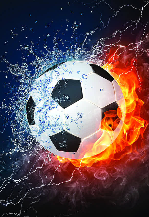 不仅体现了 不仅体现了