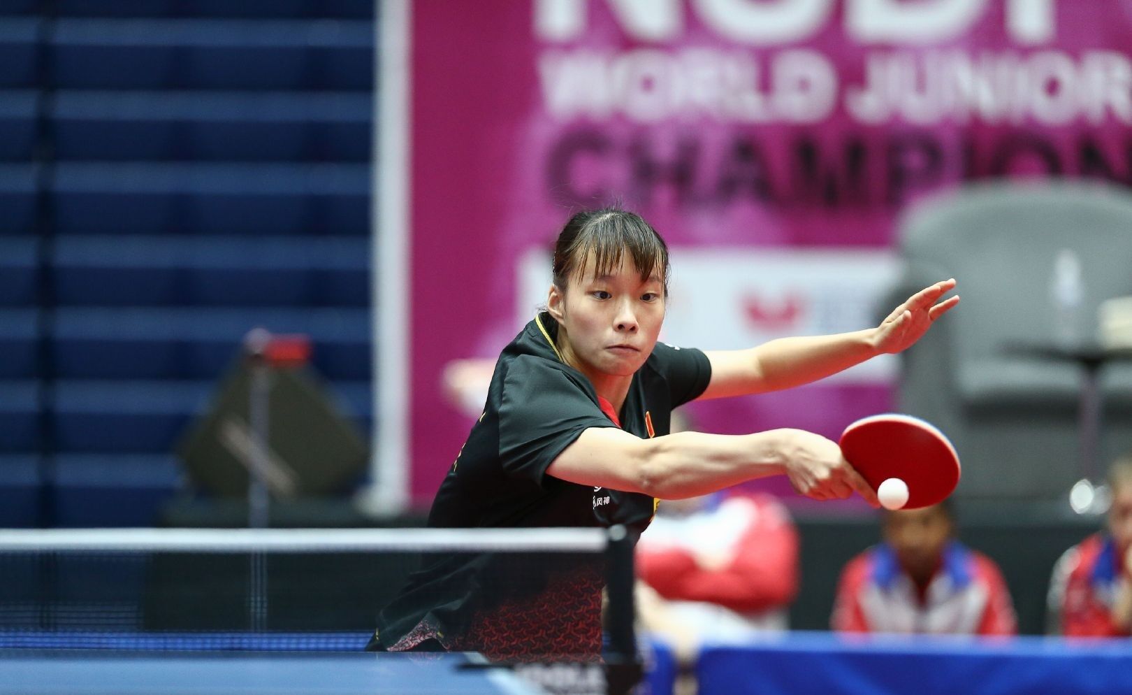 具体结论与 具体结论与